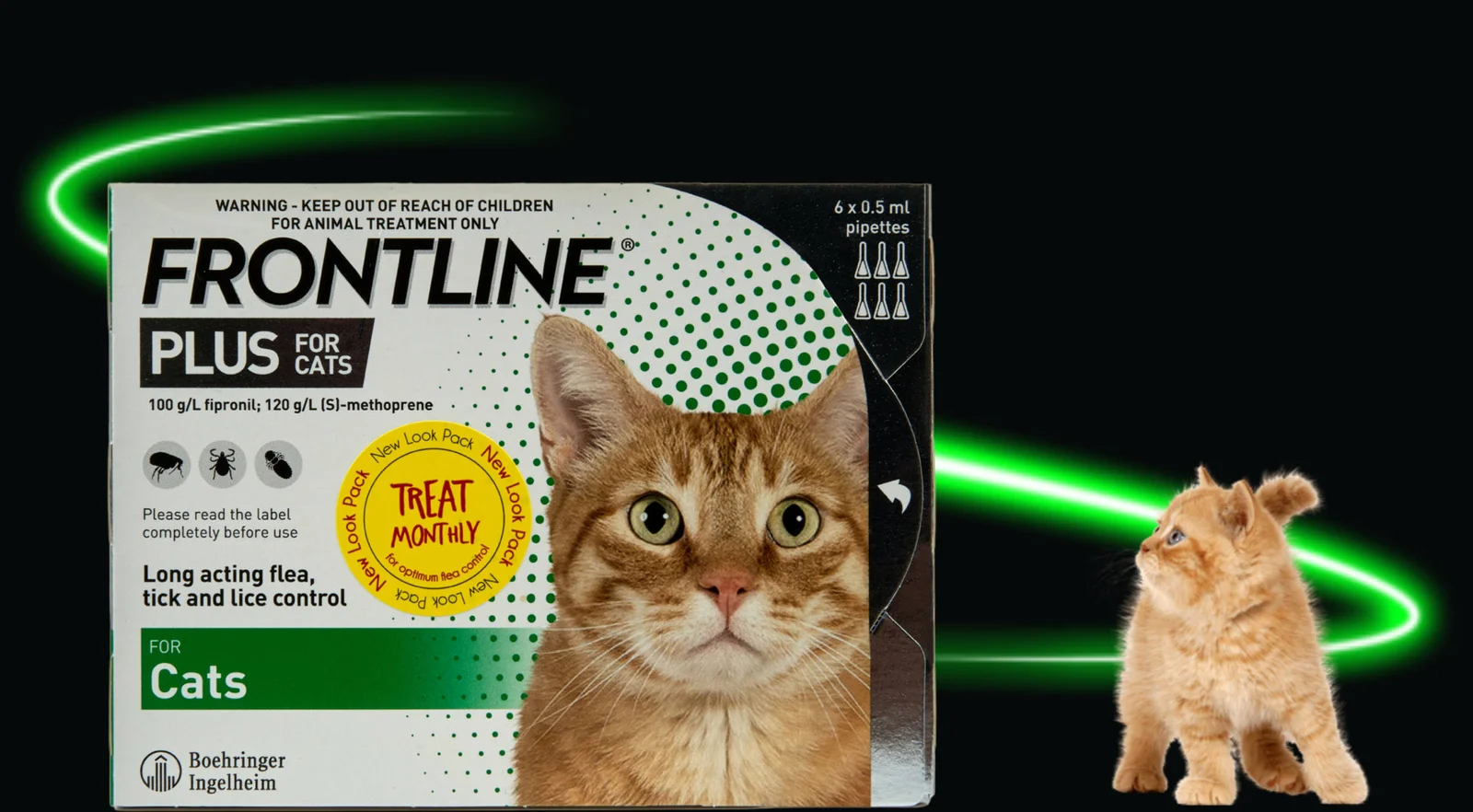 Frontline Plus cat flea treatment