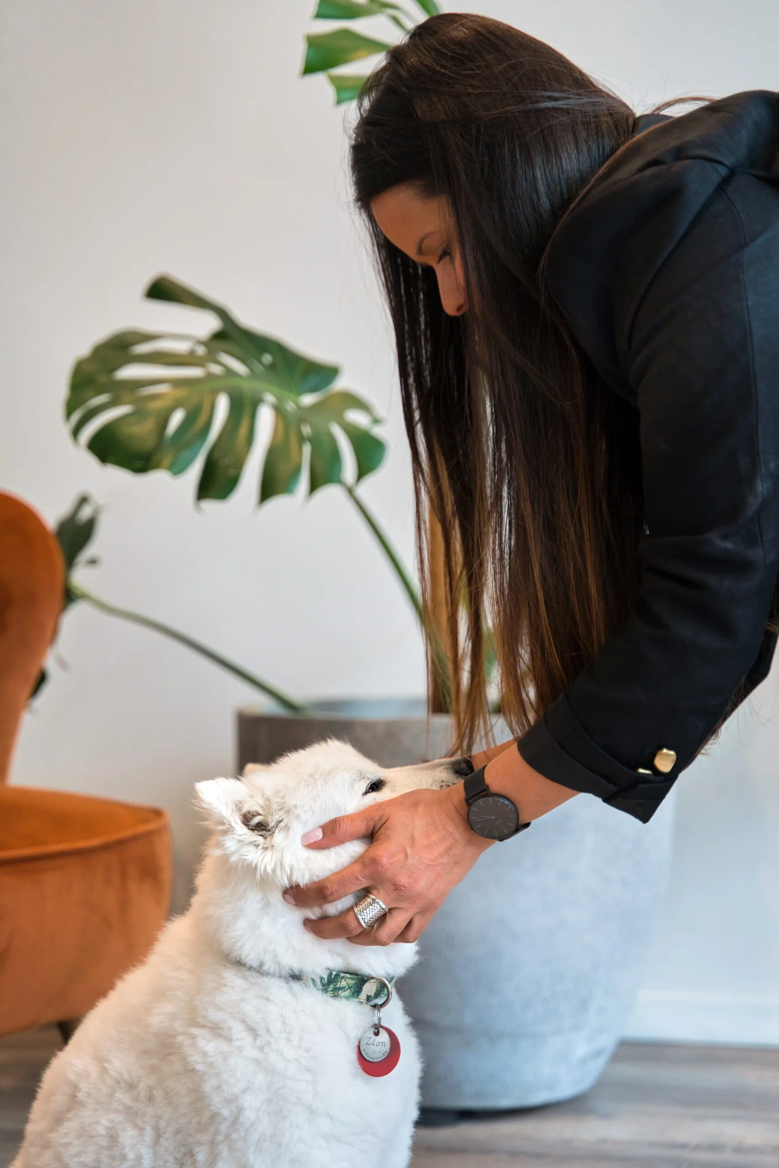 Woman bending down to gently hold the face of a white fluffy dog